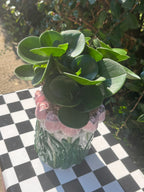 Vase - Tulipes Rose Clair / Vert