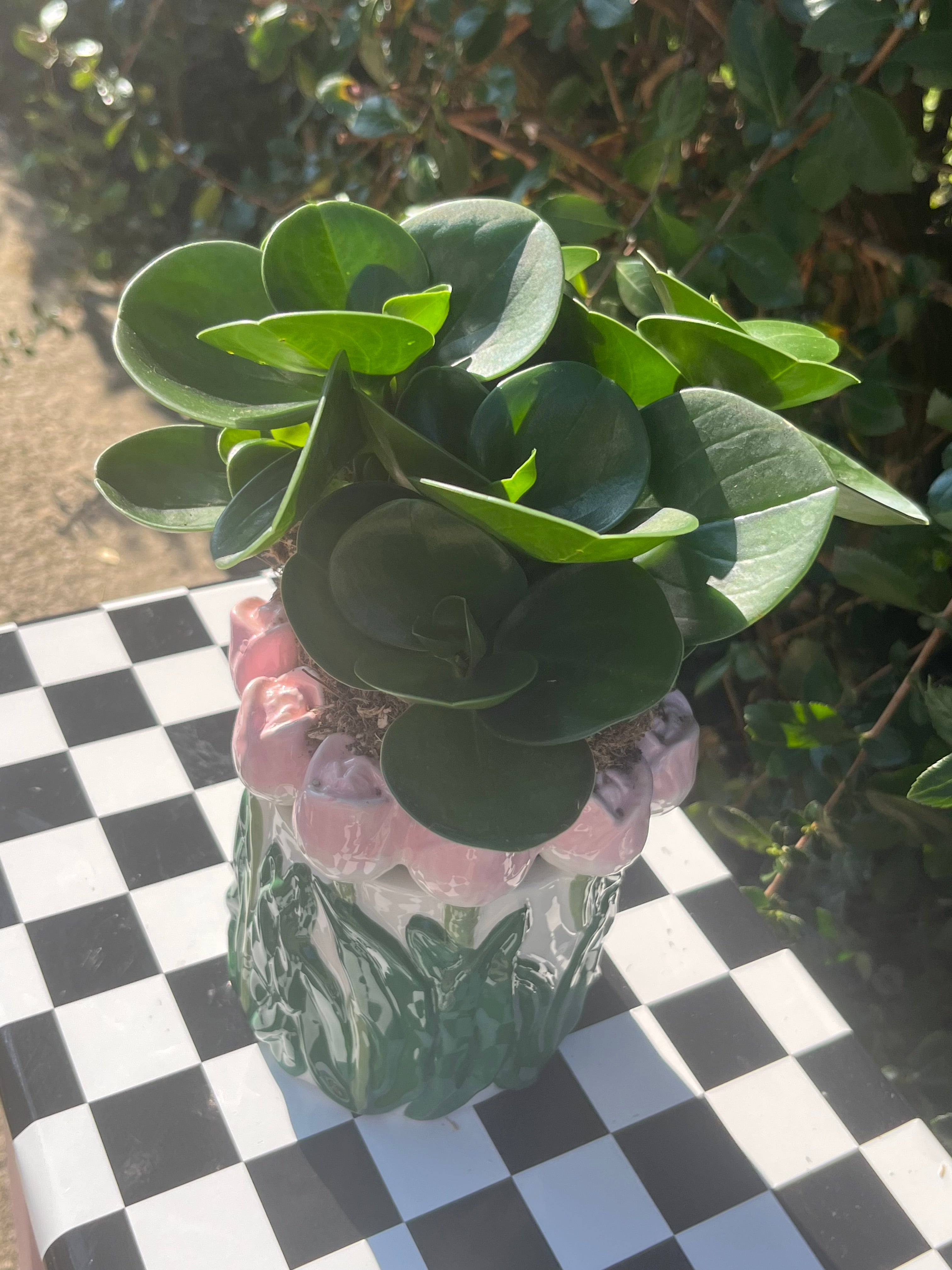 Vase - Tulipes Rose Clair / Vert